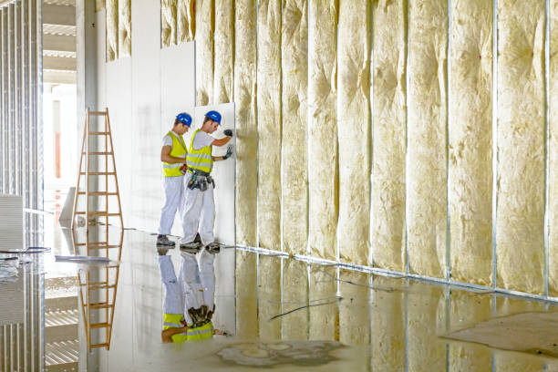 Trusted Crystal Lake, IL Insulation Experts